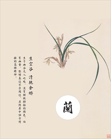 君子兰