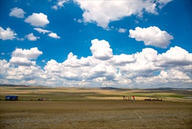 呼伦贝尔大草原