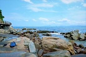 海