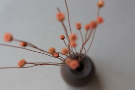 干花 陶瓷
