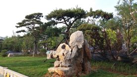 风景石