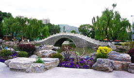 公园小桥