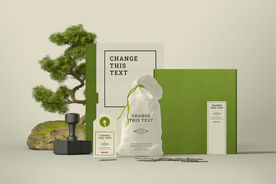 VI智能贴图样机