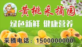 黄桃