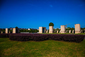 中南大学