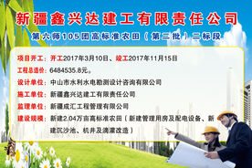 高标准农田