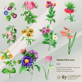 手绘花卉免扣素材集合