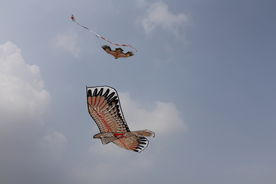 风筝