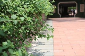 路边