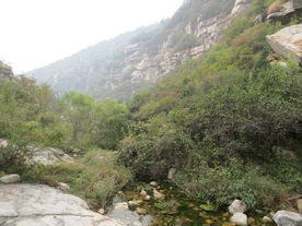 卢崖景区风景