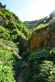 山间小道