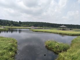 七星湖风景