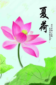 手绘夏日荷花海报