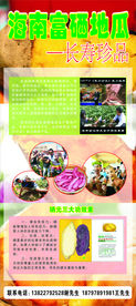 红薯展架