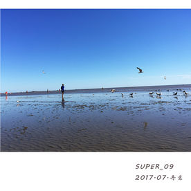 湛蓝 他与海鸥