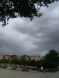 暴雨将至