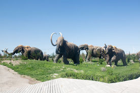 猛犸象公园