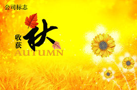 秋季吊旗