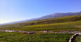 青海贵德红嘴山草场