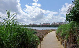 深圳华侨城湿地公园