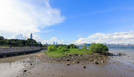 深圳湾公园