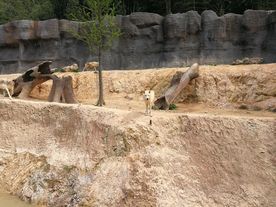 野生动物园