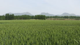 登封 马鞍山