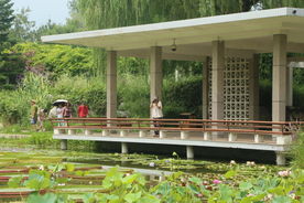 夏日植物园