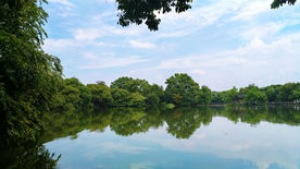 西湖美景