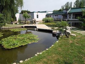 夏日植物园