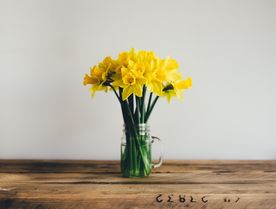 水仙花