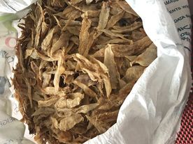 鱼胶 鱼肚 干货 鱼鳔 花胶