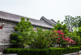 北京后海胡同