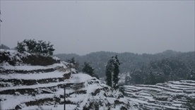 田园雪景