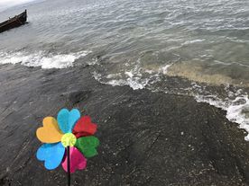 大海边的风车