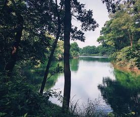 红花湖湖水