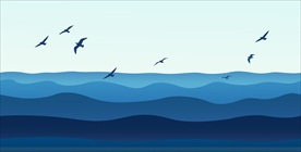 聆听大海的声音