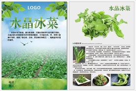 水晶冰菜宣传单