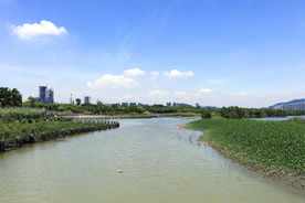 深圳湾公园