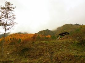 秋天山林