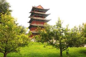 杨家埠