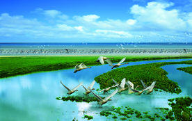 鄱阳湖
