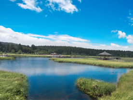 塞罕坝七星湖风景