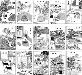 矢量农业