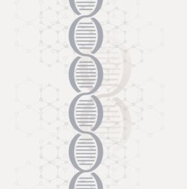 dna底图