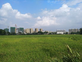 小镇风光