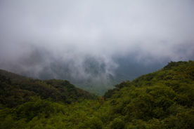 衡山雾海