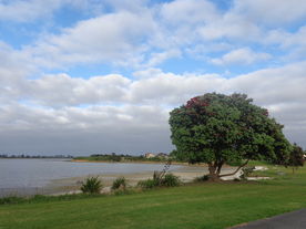 奥克兰海滨小镇风景