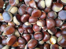 板栗