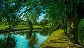 壁纸 电脑桌面 风景 自然景观